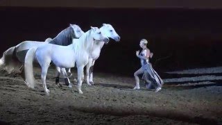 Liberty with 3 horses  Sylvia Zerbini  Night of the Horse 2016  Del Mar National Horse Show [upl. by Arber]