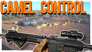 Camel Control Air Mobilised [upl. by Ardy478]