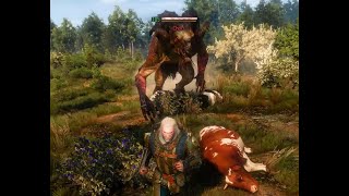 What Happens If You Dont Kill This Chort In White Orchard  Witcher 3 [upl. by Denis]