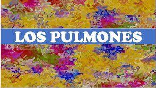 LOS PULMONES [upl. by Aitnahc]