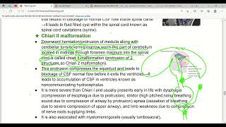 Neurodevelopment amp Embryology Nervous System In First Aid  Lec3 [upl. by Janyte]