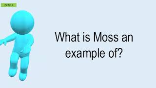 What Is Moss An Example Of [upl. by Elyk]