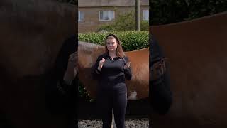 🐴 How Rear Gussets Impact Your Saddles Fit 🐴⁠ [upl. by Wearing927]