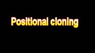 What Is The Definition Of Positional cloning Medical School Terminology Dictionary [upl. by Lennor]