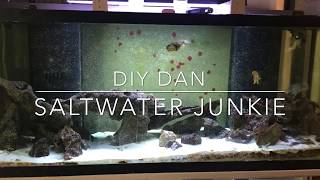 UPDATE ON DENITRATOR BUILDS amp UPDATE ON HUGE ALGAE SCRUBBER BUILD AS WELL [upl. by Cutcheon]