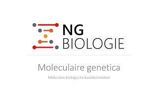 Moleculaire genetica  moleculair biologische basistechnieken  VWO [upl. by Nemra46]