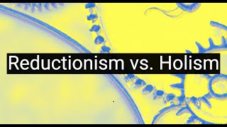 Reductionism vs Holism Battle of Philosophical Methodologies [upl. by Lrigybab]