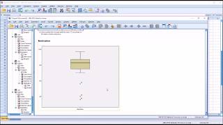 Multiple Linear Regression in SPSS with Assumption Testing [upl. by Eatnhoj556]