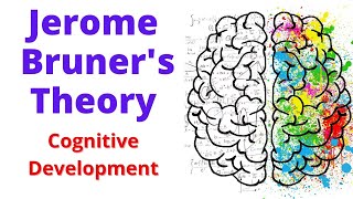 BRUNER Theory Of Cognitive Development  cognitive development theory by bruner [upl. by Gnahc884]