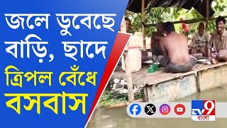 Goghat Waterlogged জলের তলায় বাড়ি ছাদে ত্রিপল টাঙিয়ে চলছে জীবনযাপন [upl. by Yolanda341]