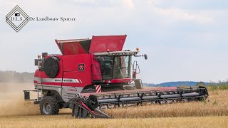 Harvesting grain  Massey Ferguson 9895 [upl. by Aronoel]