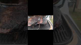 Big brisket on my Ninja woodfire xl grill was a success outdoors new bbq [upl. by Strauss]