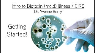 Intro to Biotoxin Illness  CIRS [upl. by Elora]