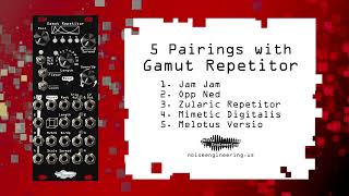 5 Pairings with Gamut Repetitor from Noise Engineering [upl. by Euqirrne]