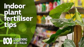 What fertiliser is best for indoor plants  Indoor Plants  Gardening Australia [upl. by Notsgnik]