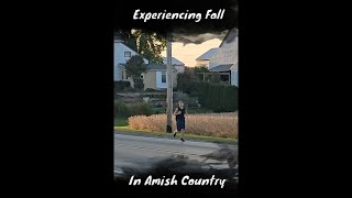 The Best Of Amish Country Fall Edition [upl. by Auqinehs]