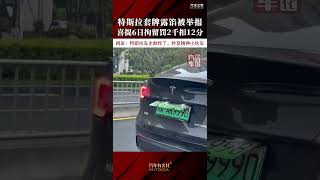 特斯拉套牌露馅被举报，喜提6日拘留罚款2千扣12分吊销驾照 [upl. by Airotahs]