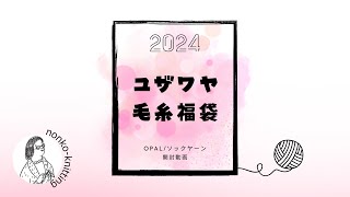 【毛糸福袋開封】ユザワヤ福袋2024 Opal・フリーソック【編み物】 [upl. by Claudia]