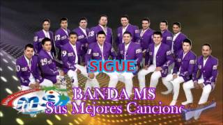 Banda MS Sigue 2013 [upl. by Jack]