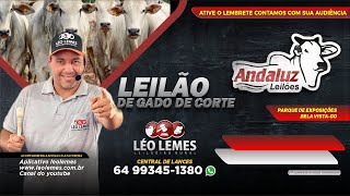 Andaluz Leilões I Léo Lemes Leilão de Gado de Corte em Goiás 21102024  Leilão Ao Vivo [upl. by Chura]