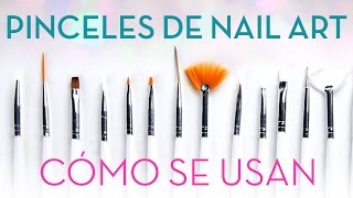 Cómo utilizar los 5 pinceles y herramientas básicas para decorar uñas [upl. by Eremahs]