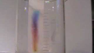 Paper Chromatography Time Lapse Video [upl. by Eenad]