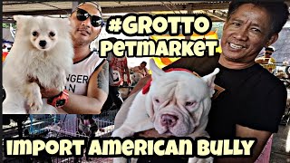 Grotto PetmarketPart 2 Import American Bully ni boss Cris napaka pogipomeranian ni boss Michael 🤩 [upl. by Nortal]