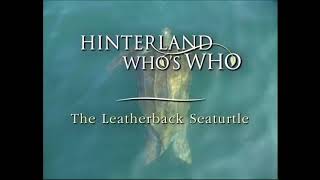 Hinterland Whos Who  The Official Collection  famous Canadian PSAs [upl. by Jayme]