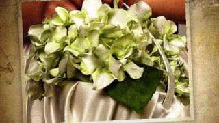 Naturaleza Exquisita Arreglos y decoracionesNovias y banquetesFlores preservadas [upl. by Akinot229]