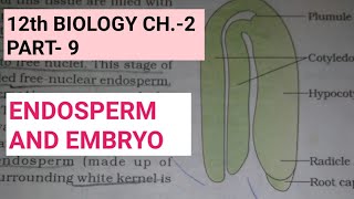 Class 12 biology chapter2Part9post fertilisationstructures and eventsStudy with farru [upl. by Tratner]