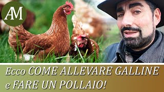 Come allevare le galline e fare un pollaio  Avicoltura e Pollaio [upl. by Aon629]