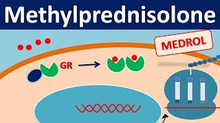 Acute Dystonic Reaction [upl. by Carmena]