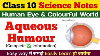 AQUEOUS HUMOUR l Human Eye And Colorful World Class 10 Science Chapter Notes In Hindi and English [upl. by Maddy470]