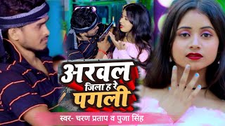 Video अरवल जिला ह रे पगली Charan Pratap Puja Singh आर्केस्ट्रा गीत Arwal Jila Ha Re Pagali [upl. by Kostman]