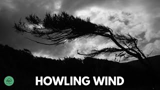 10 HR  HOWLING WIND sounds for sleeping amp relaxation  Dark Screen  Black Screen [upl. by Rex663]