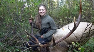 The Perfect Elk Hunt Packed Out on Horses [upl. by Eddi]