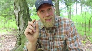 Ferro Rod Pro Tips and Tricks from Survival Instructor and Certified Badass Dan Wowak [upl. by Ahsennod]