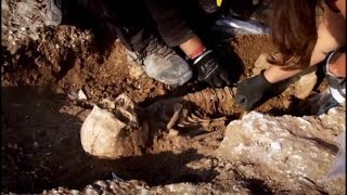 Digging for Britain 2of4 Prehistory Documentary [upl. by Kessler584]