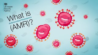 Antimicrobial resistance AMR  What does it mean and why it matters [upl. by Shae]