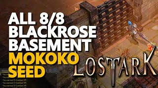 All Blackrose Basement Mokoko Seed Lost Ark [upl. by Itida]