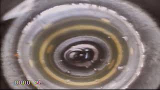 Downhole Video 95242 [upl. by Llerrod]