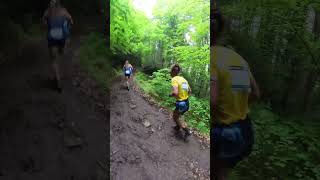 Dans la Foulée dEmelie Forsberg lors du Format 16km des Championnats dEurope à Annecy [upl. by Kala513]