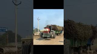 Nishu deshwal Swaraj tractor power in biggest trolley video youtubeshorts nishudashwal [upl. by Gian]