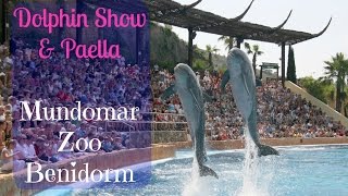 Dolphin Show and Paella at Mundomar Benidorm [upl. by Aleahpar]