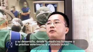 Manual de Técnicas Endoluminales y Radiología Intervencionista en Veterinaria [upl. by Hayn]