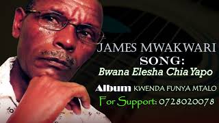 James Mwakwari  Bwana elesha chia yapoOfficial Audio [upl. by Thill]