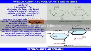 CARBOHYDRATES STRUCTURES AND FUNCTIONS OF DISACCHARIDES SUCROSE MALTOSE LACTOSE [upl. by Notsae178]