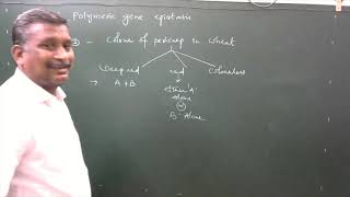 Epistasis  Polymeric Gene Interaction  part IVEnglish medium [upl. by Liane628]