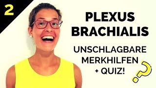 Plexus brachialis lernen So merkst du ihn dir  Eselsbrücken Gedächtnispalast amp Quiz 22 [upl. by Atiluj]