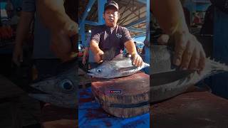 Fresh baby tuna cutting shorts fyp fishcutting reels mukbang tuna delicious sashimi food [upl. by Rexana]